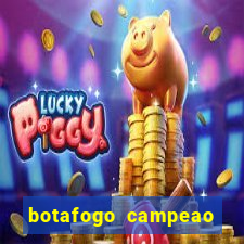 botafogo campeao brasileiro roubado