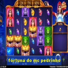 fortuna do mc pedrinho