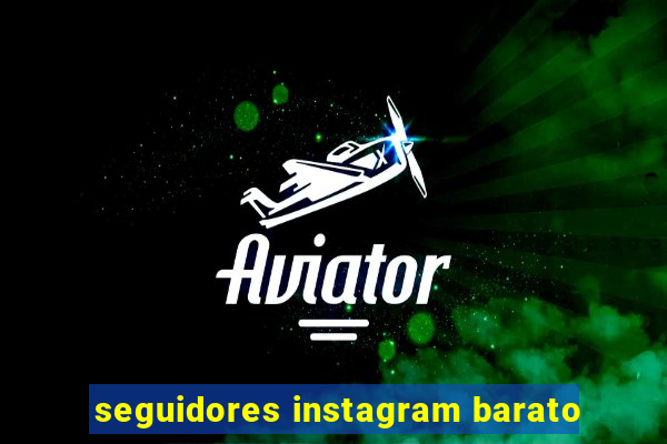 seguidores instagram barato