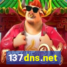 137dns.net