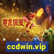 ccdwin.vip