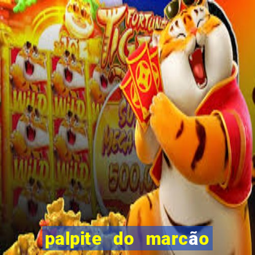 palpite do marcão jogo do bicho