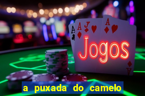 a puxada do camelo no jogo do bicho