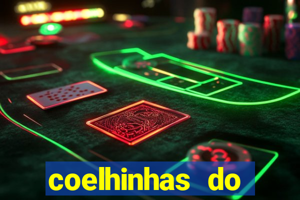 coelhinhas do brasil recife