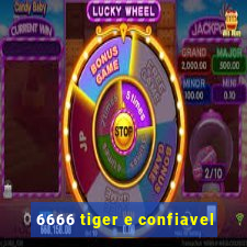 6666 tiger e confiavel