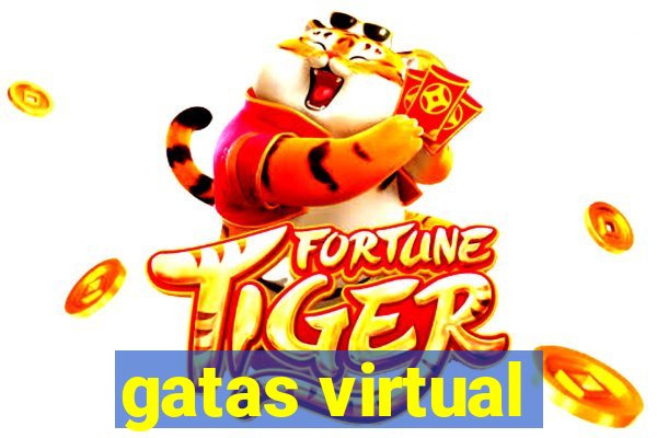 gatas virtual