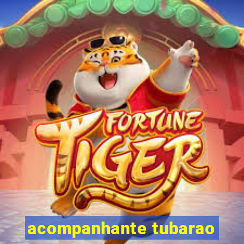 acompanhante tubarao