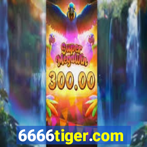 6666tiger.com