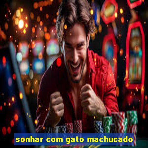 sonhar com gato machucado