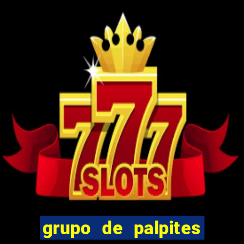 grupo de palpites de futebol whatsapp