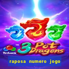 raposa numero jogo do bicho