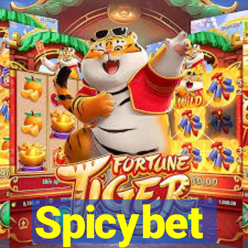 Spicybet