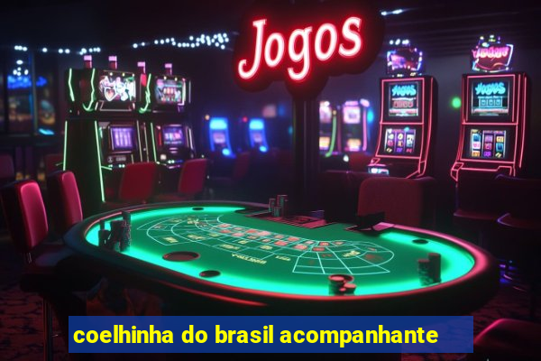 coelhinha do brasil acompanhante