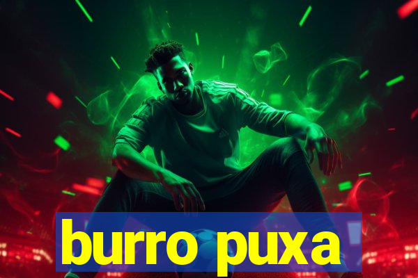 burro puxa