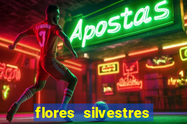 flores silvestres desbravadores desbravadores 25