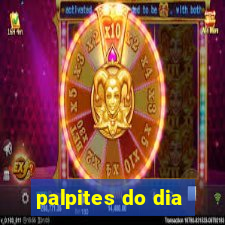 palpites do dia