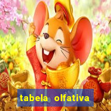 tabela olfativa amei cosméticos