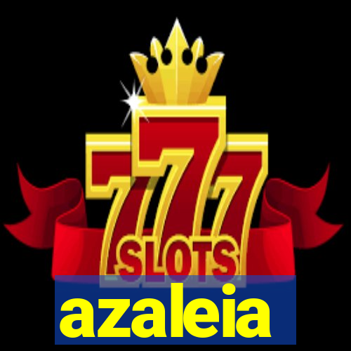 azaleia-br.com