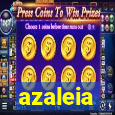 azaleia-br.com