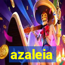 azaleia-br.com