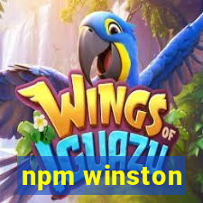 npm winston