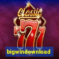 bigwindownload