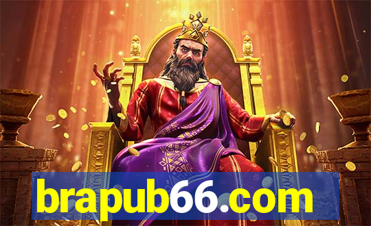 brapub66.com