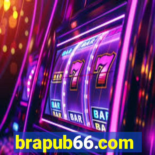 brapub66.com