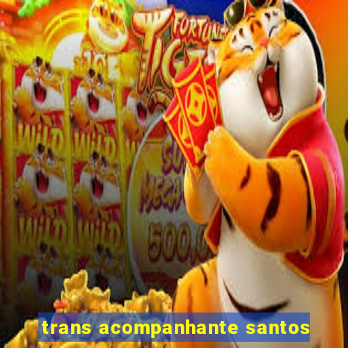 trans acompanhante santos