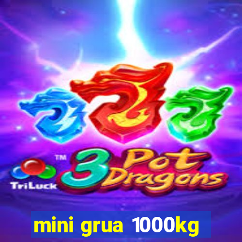 mini grua 1000kg