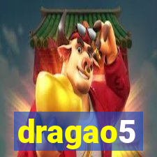 dragao5