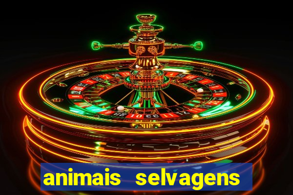 animais selvagens fotos e nomes