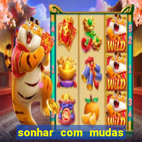 sonhar com mudas de plantas