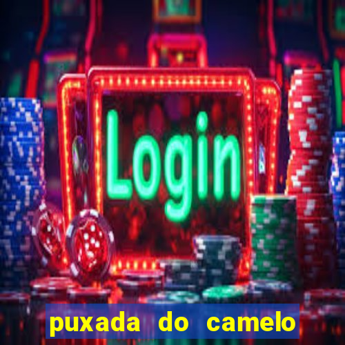 puxada do camelo jogo do bicho