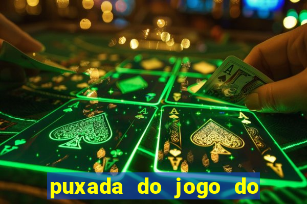 puxada do jogo do bicho da sueli