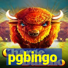 pgbingo