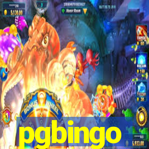 pgbingo