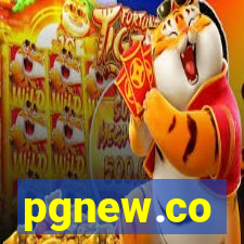 pgnew.co