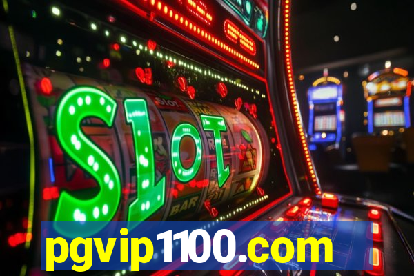 pgvip1100.com