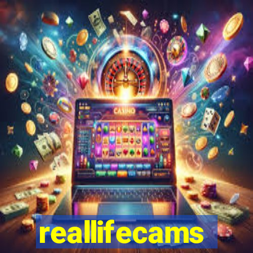 reallifecams