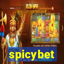 spicybet-3.com