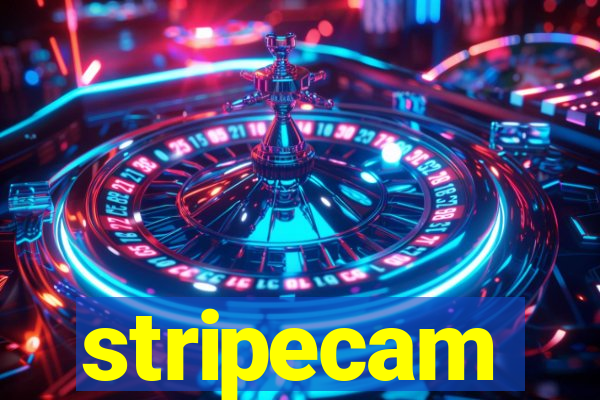 stripecam