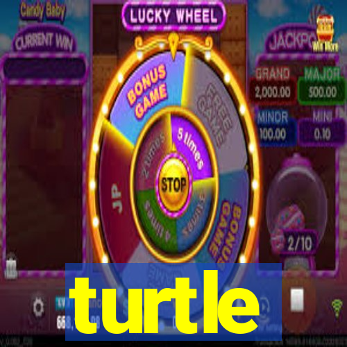 turtle-ty.com