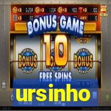 ursinho-pg.com